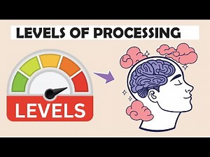 The 3 Levels of Processing Model | Structural, Phonemic & Semantic