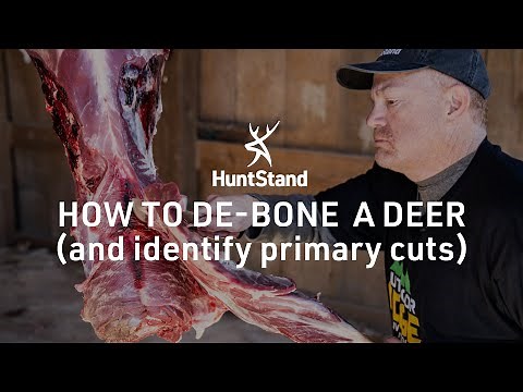How To De-Bone A Deer (And Identify Primary Cuts)
