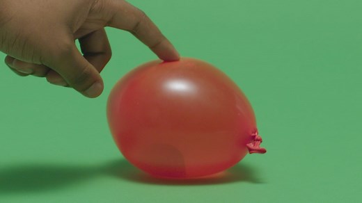 How to make a model animal and plant cell - Cells - KS3 Biology - BBC Bitesize