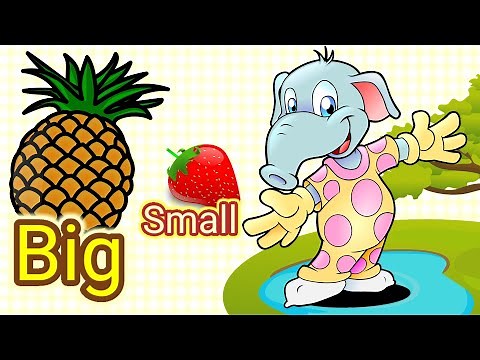 Big and Small || Basic Sizes ||Kindergarten Lessons || Math for Kids