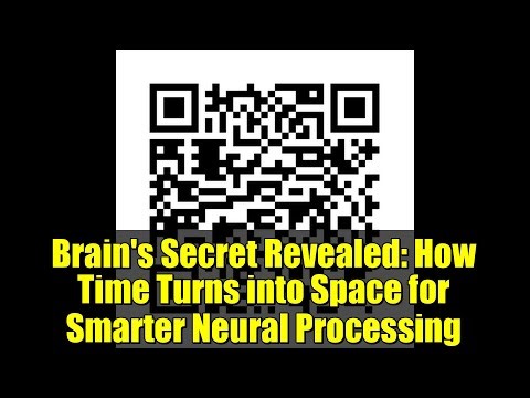 Brain's Secret Revealed: How Time Turns into Space for Smarter Neural Processing