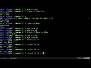 Command Line Arguments with getopts Linux Shell Programming BASH Script Tutorial