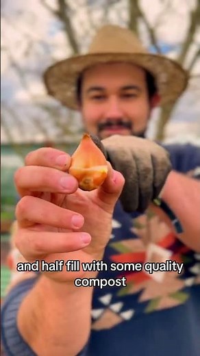 EASY Tulip Planting Will Make Your Spring AMAZING!