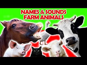 Farm Animals Names and Sounds for Kids to Learn | Learn Animals