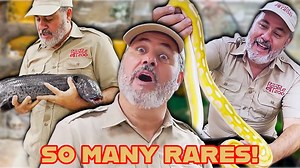 Get ready to see some of the most stunning reticulated pythons in the reptile world! 🌈🐍 In this video, I’m showcasing a huge variety of rare python morphs — from vibrant albinos to breathtaking sunfires, tigers, and other incredible color and pattern variations you won’t believe are real. Whether you’re passionate about reptile care, love learning fascinating animal education facts, or just enjoy cool animal moments, this video is packed with jaw-dropping beauty and interesting insights about 