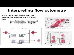 Flow Cytometry (Verbsky)
