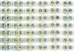 SQL DISTINCT and TOP in Same Query - Essential SQL