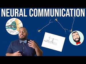 Neural Communication