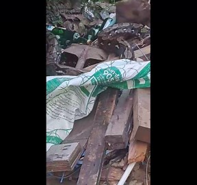 Resident saves pet cat being strangled by huge wild python