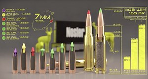 The Full Scoop on Nosler Ballistic Tip Ammo