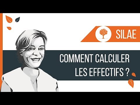 SILAE - Comment calculer les effectifs ?