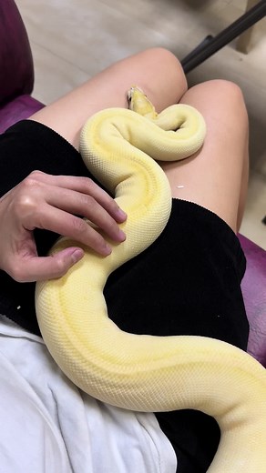 Nica Gutierrez on TikTok