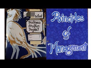 Business Studies project on Principles of Management || Class 12 || CBSE ||