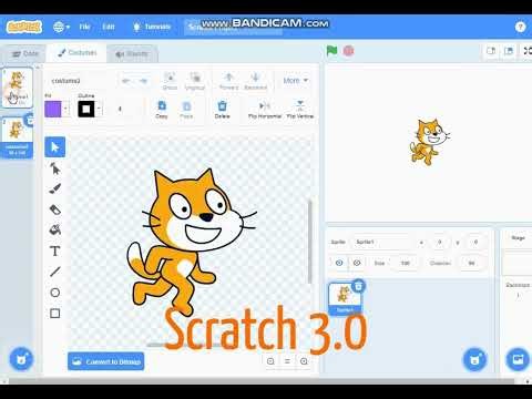 تاريخ سكراتش: من العصر الكيوت 1.4 الى الاحتراف 3.0