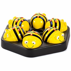 Bee-Bot Swarm