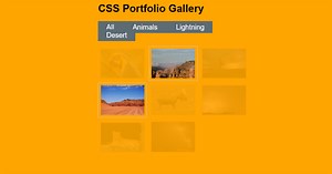 Create a Filter Image Gallery using HTML and CSS