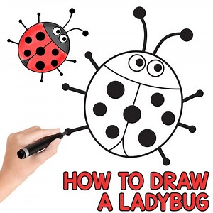 How to Draw a Ladybug