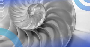 What Is the Fibonacci Sequence? (Definition, Formula) | Built In