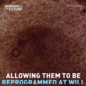 37K views · 751 reactions | This is amazing! (credit: Alex Klokus) | The Science Explorer | Facebook