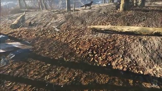 Vivid Fallout - All in One