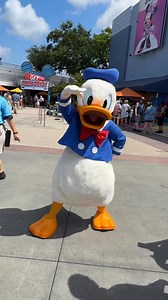 136K views · 7.5K reactions | Donald Duck was roaming in Animation Courtyard at Disney’s Hollywood Studio today as part of Cool Kid Summer, which includes character meets, roaming characters and entertainment across the four Walt Disney World parks. #donaldduck #coolkidsummer #WaltDisneyWorld #disneyworld #disneycharacters #wdw #disneyhollywoodstudios | Mousesteps | Facebook