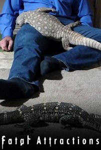 Fatal Attractions: Season 1 | Rotten Tomatoes