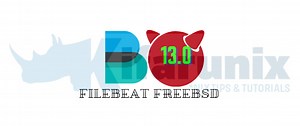 Install Filebeat on FreeBSD - kifarunix.com