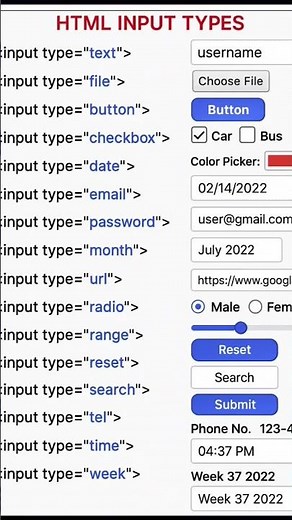 🧠 Learn All HTML Input Types in 1 Minute! | HTML Form Guide