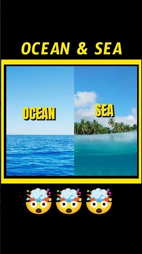 🤯 Difference Between Ocean And Sea | Sea #sea #fact