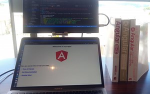 【初心者〜上級者まで】Angularの学習におすすめの本4選