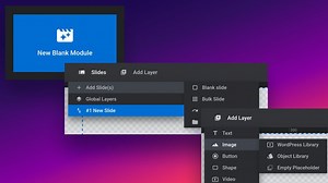 Modules, Slides & Layers