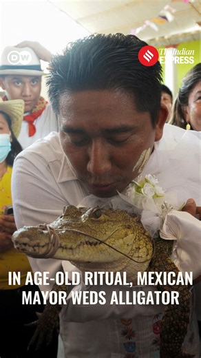 11 reactions | A small-town Mexican mayor married his alligator bride...