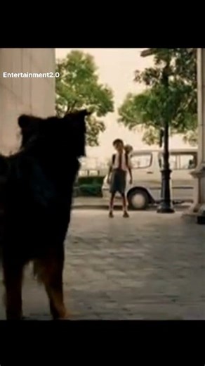 CJ7 CJ7 movie scene Dog fight scene Alien dog Funny dog moments...