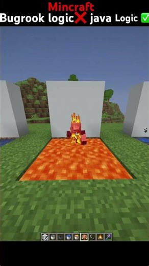 minecraft bugrook logic❌ java logic✅