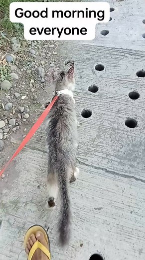 #algorithm #everyoneシ゚ @everyone #highlightsシ゚ @highlight #fbreelsfypシ゚viral #bunosesearnings #papansinkymetaworld | Rowena M Ramos