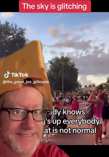 #duet with @p_g_stories_official #Glitch #glitchinthematrix #matrix #cheese #simulation