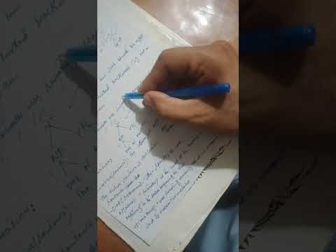 Tree Diagram in Syntax with respect to different examples and their explaination