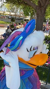 Daisy Duck is in her Disneyland 70th outfit today, as are other Mickey and Friends characters. She showed me her special bow and bracelet for the occasion. The Disneyland 70th anniversary officially kicks off on Friday! We are here to preview the event and we’ll be here longer on our own. The Disneyland Band was playing “We Don’t Talk Anout Bruno” in the background. #hosted #disneyland #disneyland70 #daisyduck #disneycharacters #celebratehappy #dlr #disneyland70thanniversary | Mousesteps