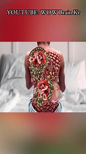 16K views · 102 reactions | ASMR Remove dog tick, Maggots and Cysts from infected Back #asmr #asmrsound #treatment #removal #dogtick #maggot | WOW Brain | Facebook