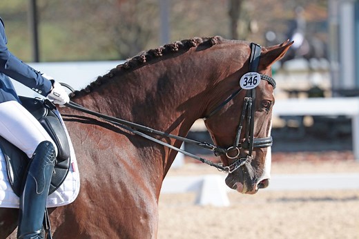 Demystifying the Double Bridle