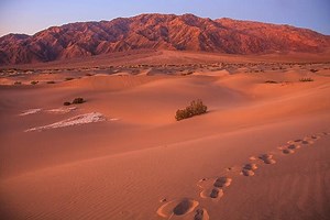 Evaluate Machine Learning Algorithms for Human Activity Recognition - MachineLearningMastery.com