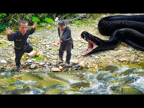 Survival skills of the dwarf family: Encountering a giant python while trapping stream fish