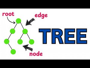Introduction To Tree Data Structure