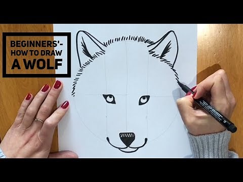 Beginners' - How To Draw A Wolf