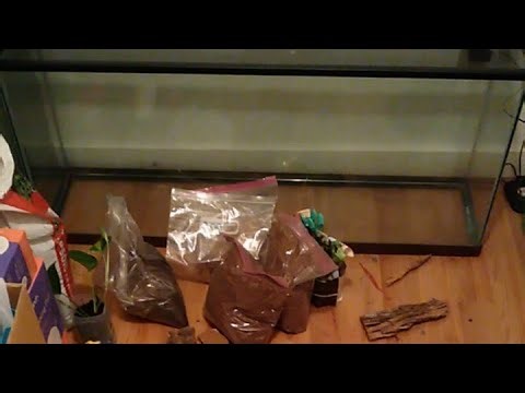 Tank Setup: Thor & More