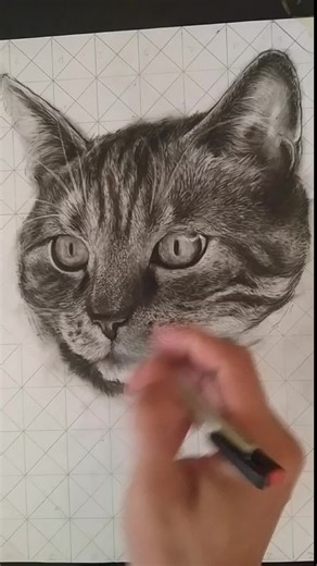 Realistic Cat Drawing Tutorial | Learn to Draw Cats Step by Step