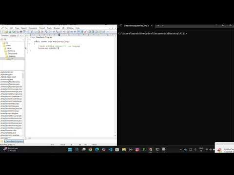 Basic printing statement in java language
