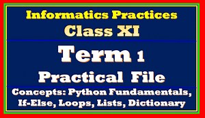 Class 11 Term 1 IP Practical File – Important PDF - TutorialAICSIP