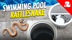 5.2K views · 74 reactions | When it's hot outside, water features...