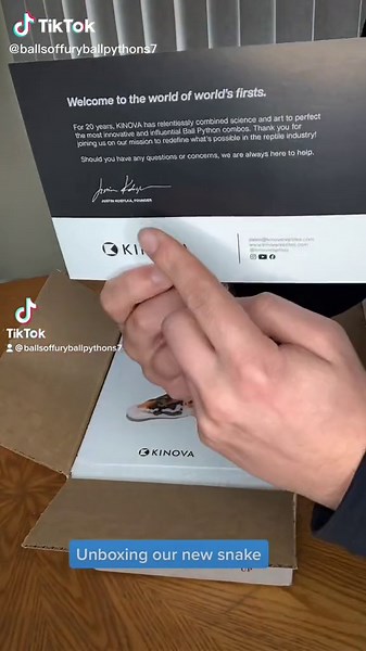 Unboxing our new Batman Ball Python from Justin Kobylka of Kinova‼️ #ballpython #royalpython #reptile #reptiles #snake #snakes #animlas #animal #pet